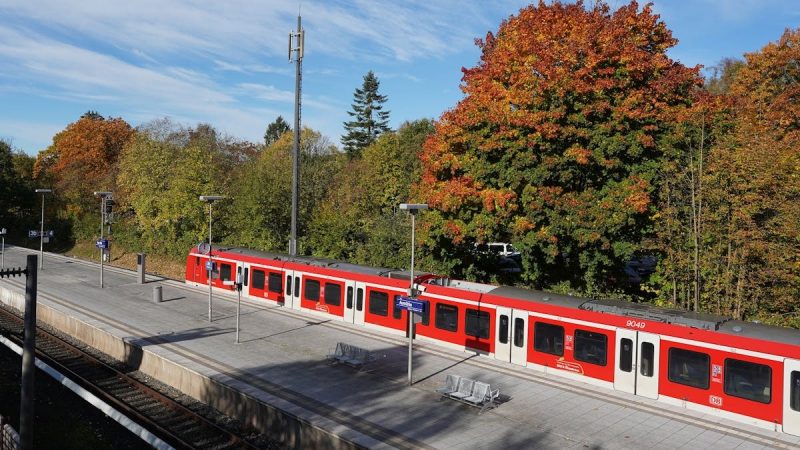 Scenic view of Aumühle train station with red train and vibrant autumn foliage.